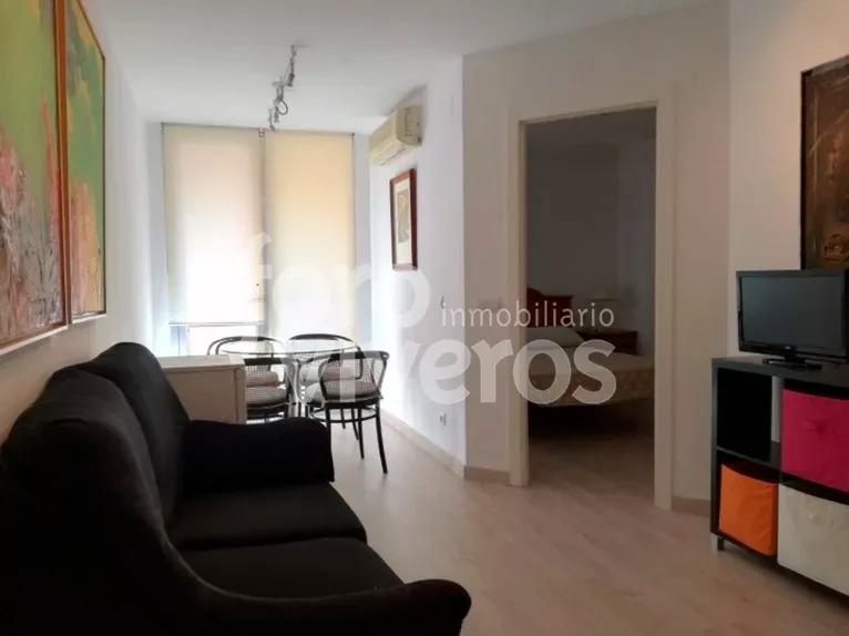 Salón de la vivienda de 252 m² en calle Jaime Roig