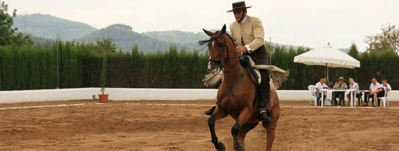 HÍPICA BOLÍVAR · imagen del negocio