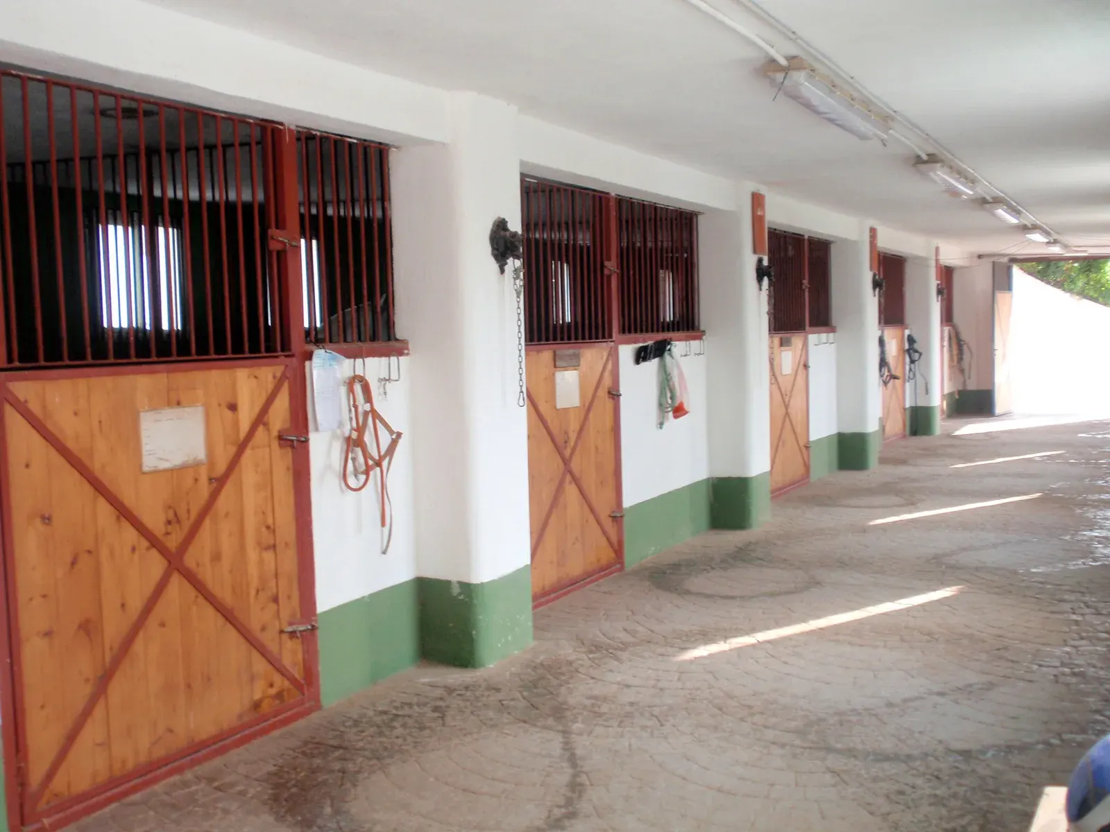 HÍPICA BOLÍVAR · imagen del negocio