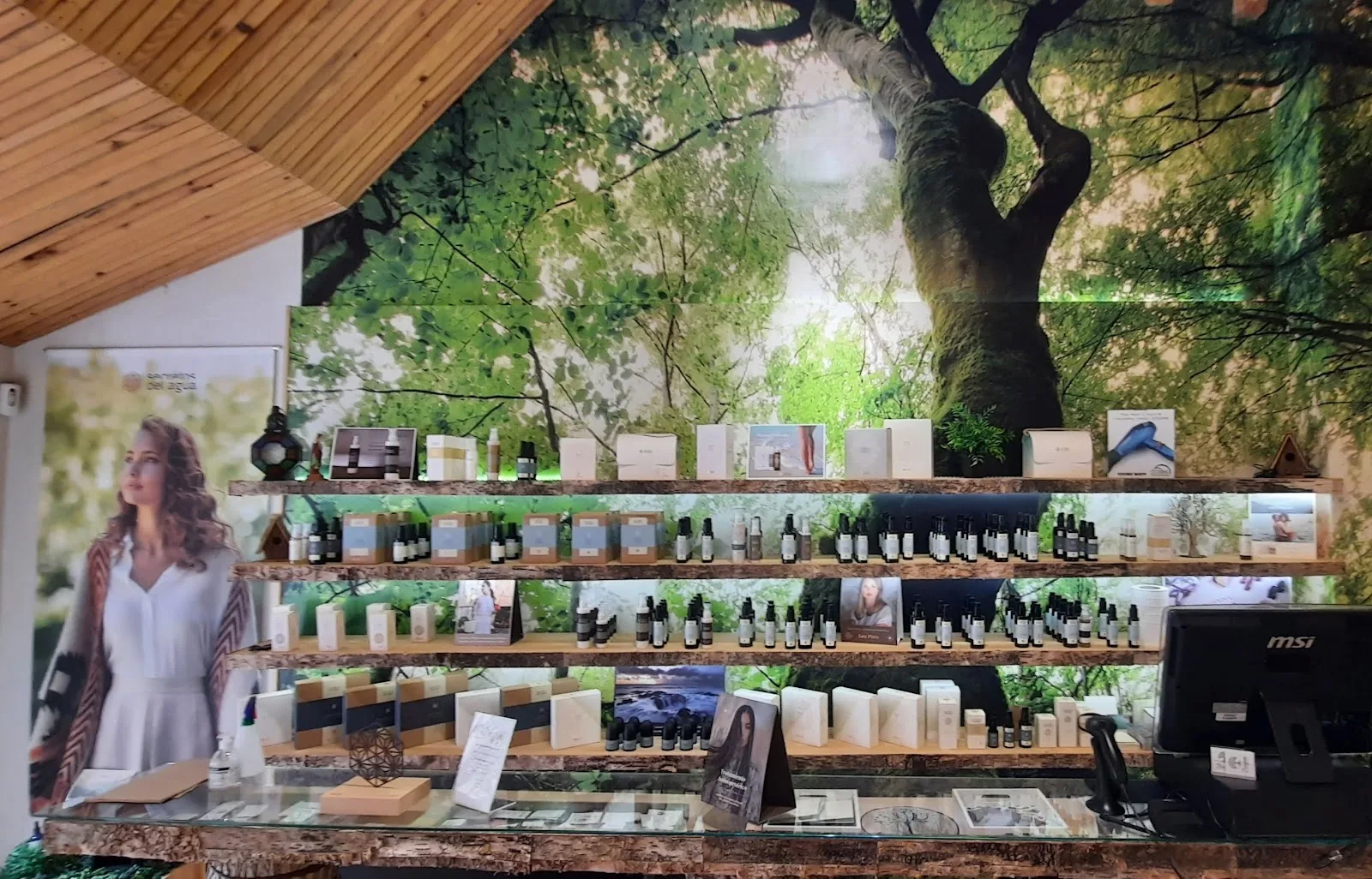 Estantería con plantas y productos