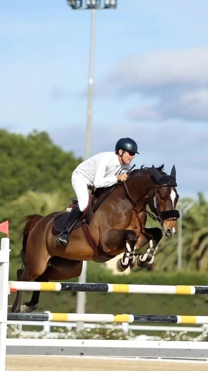 Salto de un jinete de Paddocks de Azahar