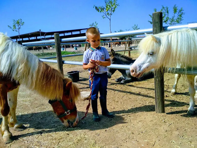 Actividades publicadas por Poni Club Castellón