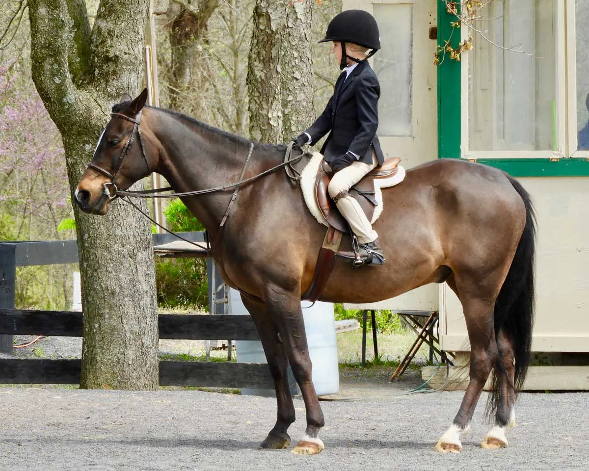 Equitación en Poni Club Castellón
