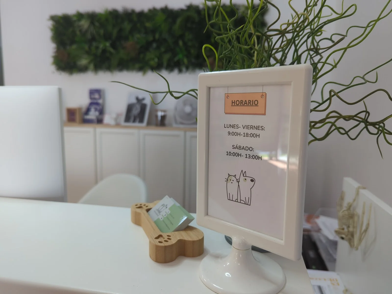 En recepción · Centro Veterinario Los Huertos