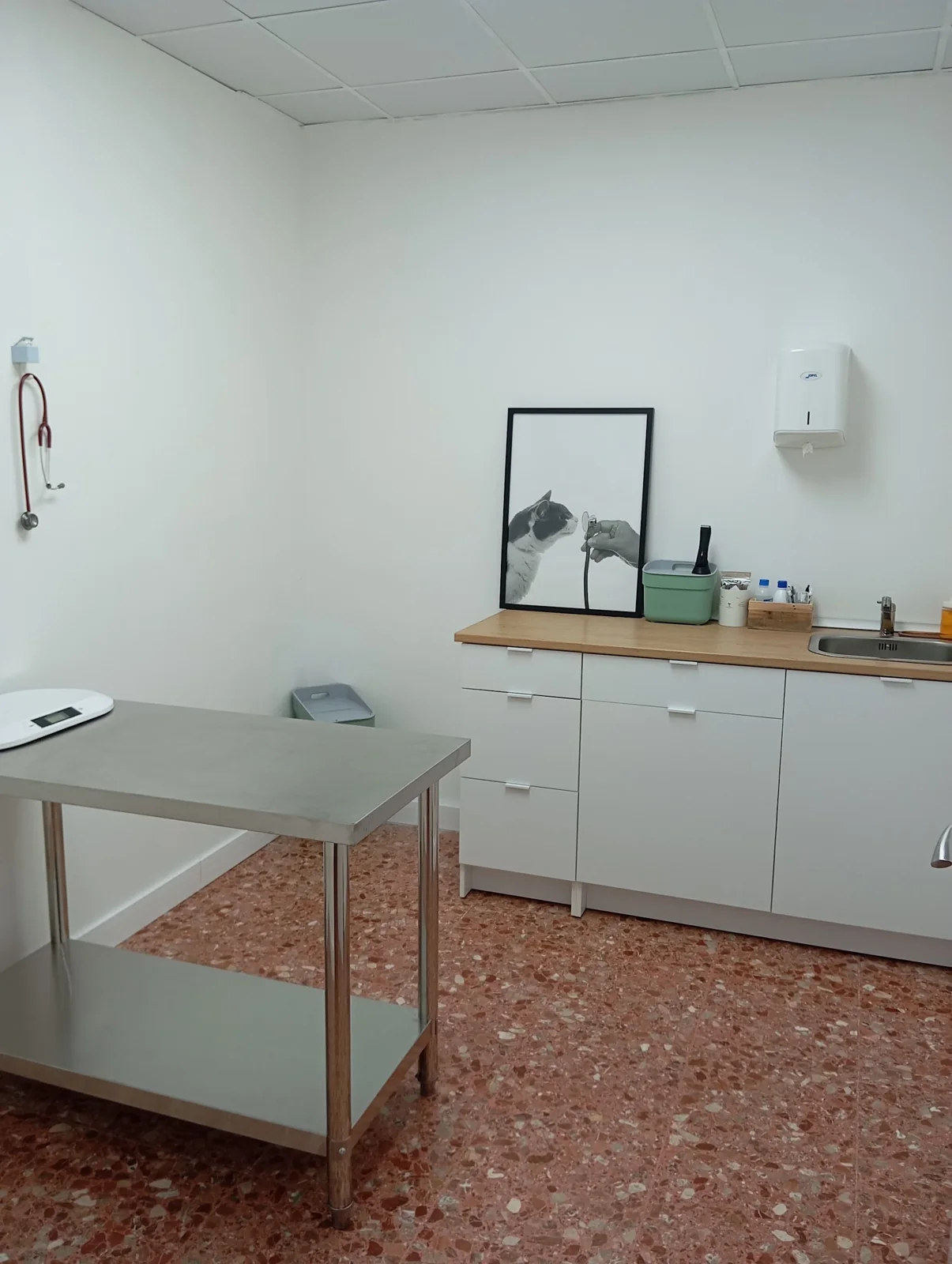 La consulta · Centro Veterinario Los Huertos