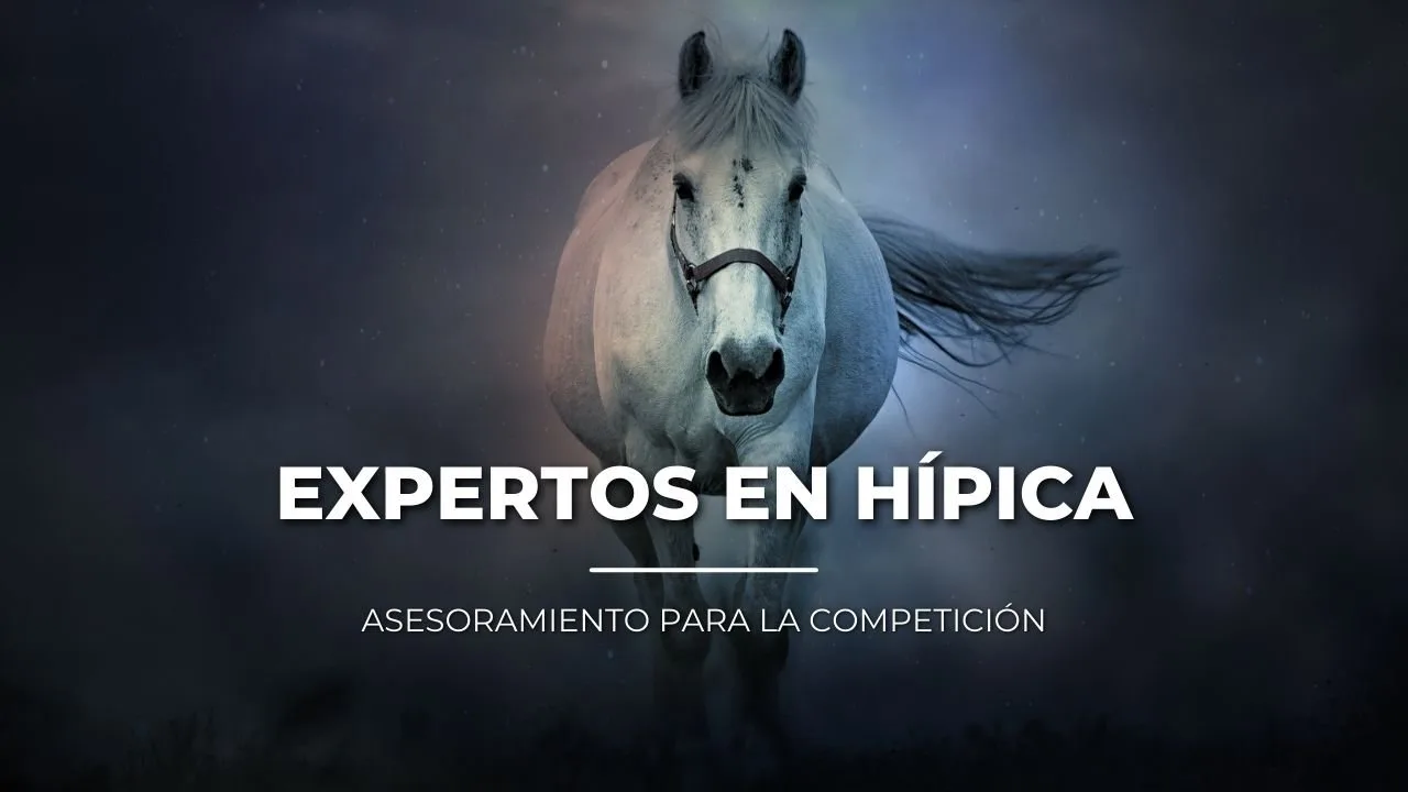 Imagen de hípica publicada por Veterval