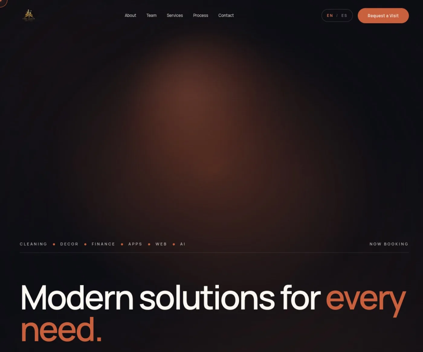 The Clean Solutions: Servicios · Texas