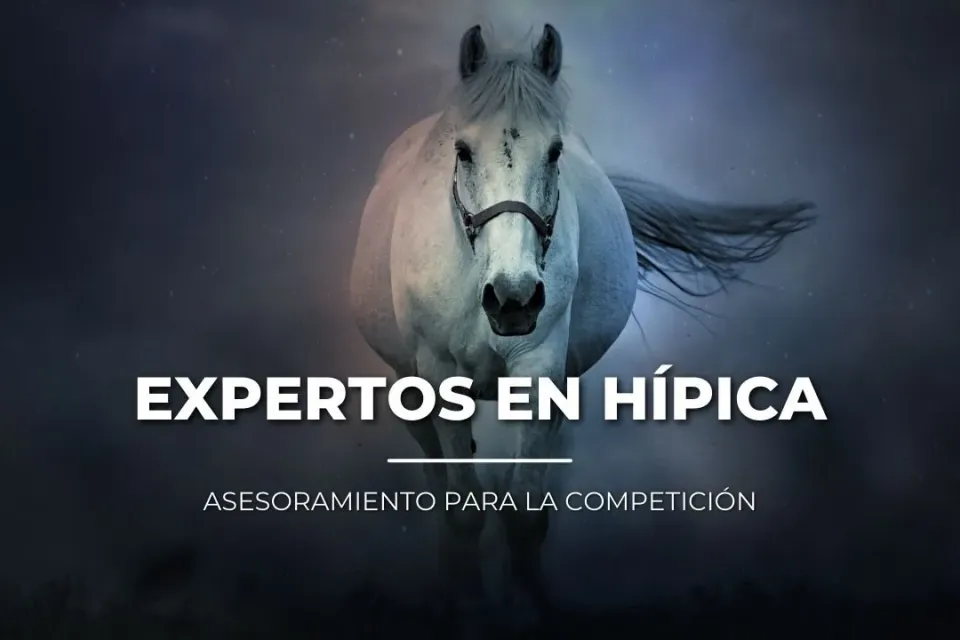 Veterval: Hípica y cuidado animal · Valdepeñas